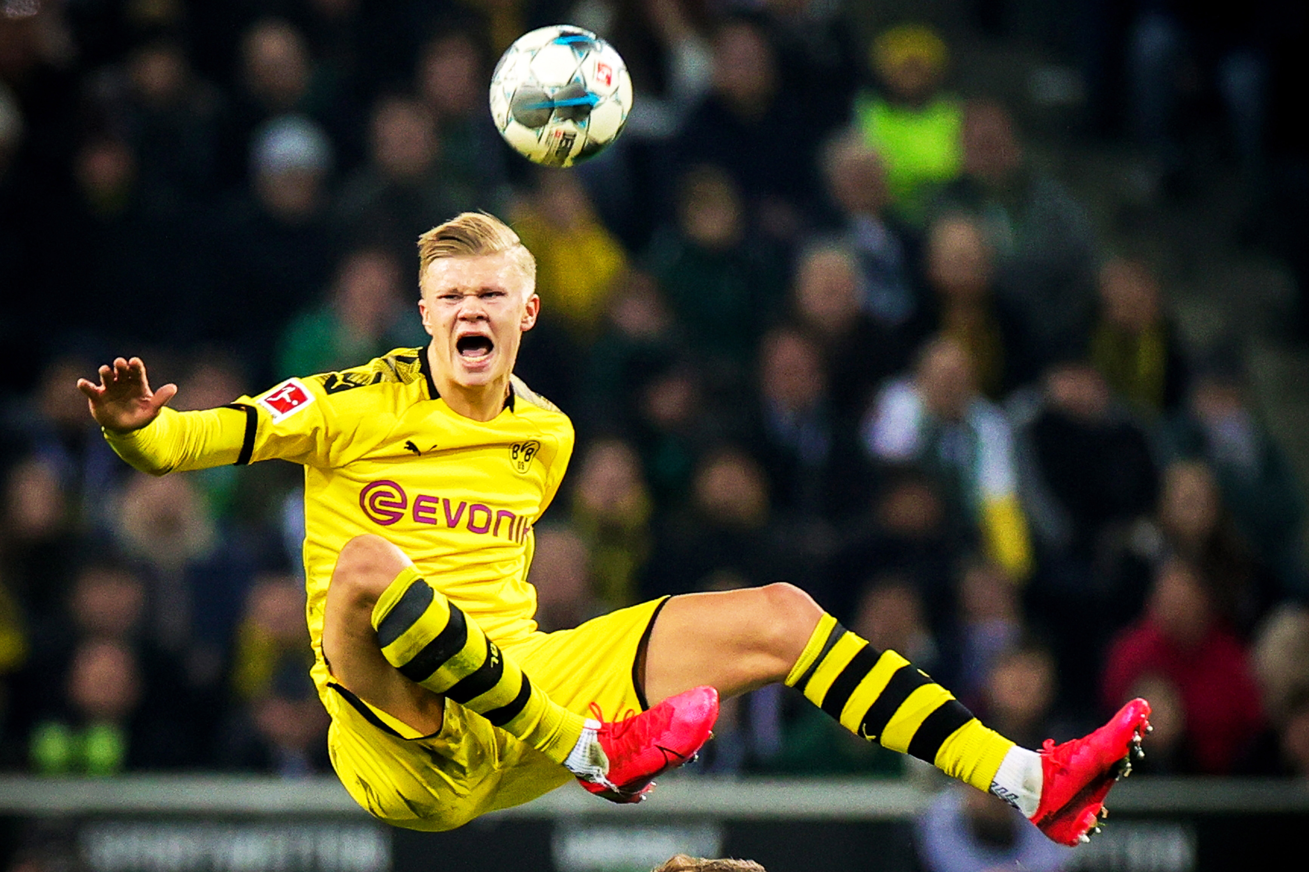 回购价2300万欧，记者：国米预计会在明夏买回小斯坦科维奇（记者：国米预计明夏以2300万欧回购小斯坦科维奇）