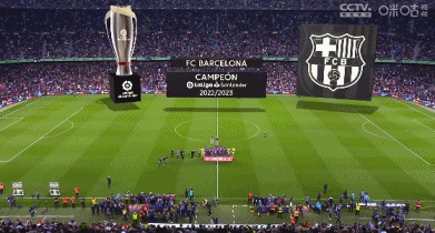 布朗：C罗不需要通过世界杯来证明什么，但大家希望看他捧杯